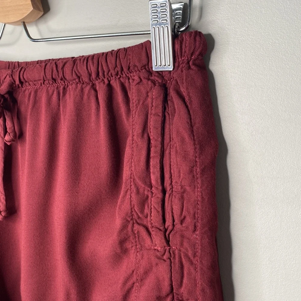 Brandy Melville Burgundy Eve Drawstring Shorts - Picture 5 of 11